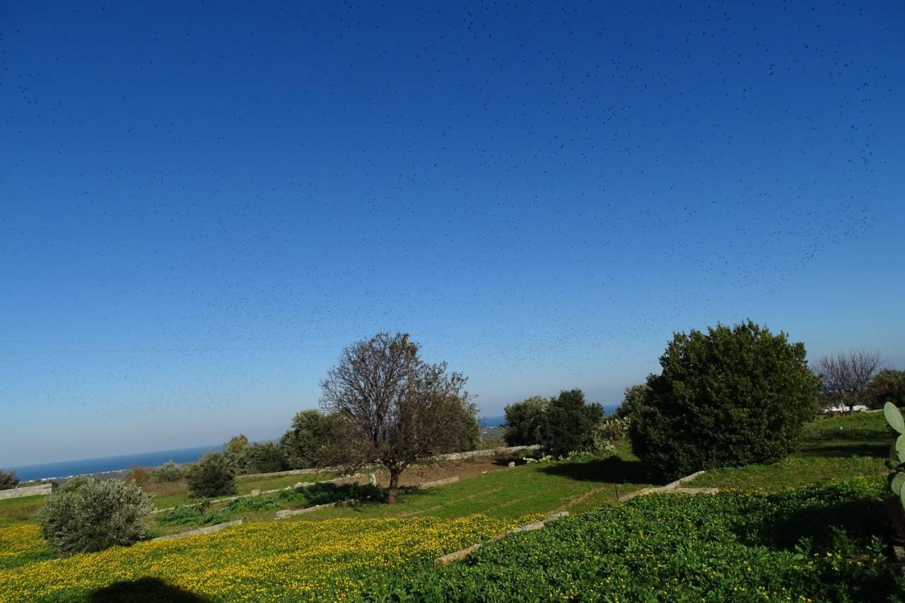 Il Fico D'India Dell'Antico Orto Ostuni Exterior foto