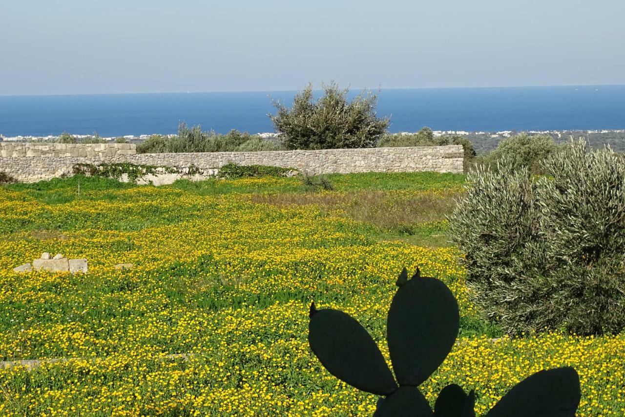 Il Fico D'India Dell'Antico Orto Ostuni Exterior foto