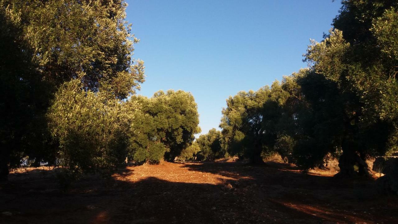 Il Fico D'India Dell'Antico Orto Ostuni Exterior foto