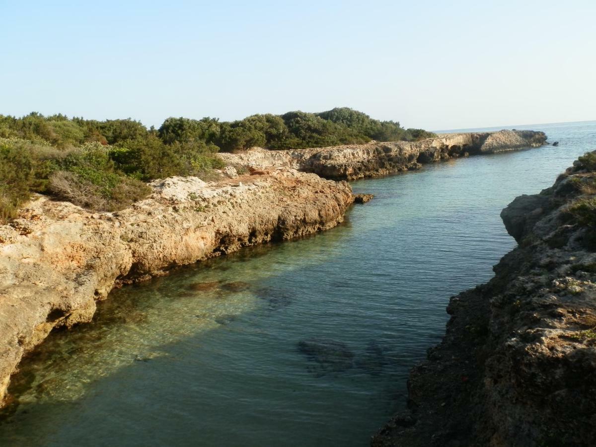 Il Fico D'India Dell'Antico Orto Ostuni Exterior foto